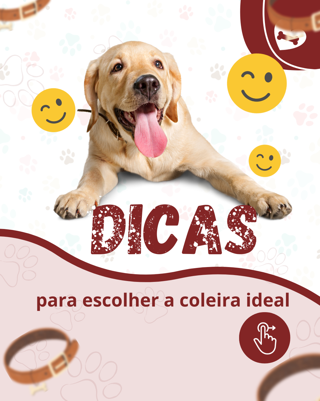 Pack Canva Passeador De C es Erica Andrade Oficial pack-canva-passeador-de-c-es-erica-andrade-oficial