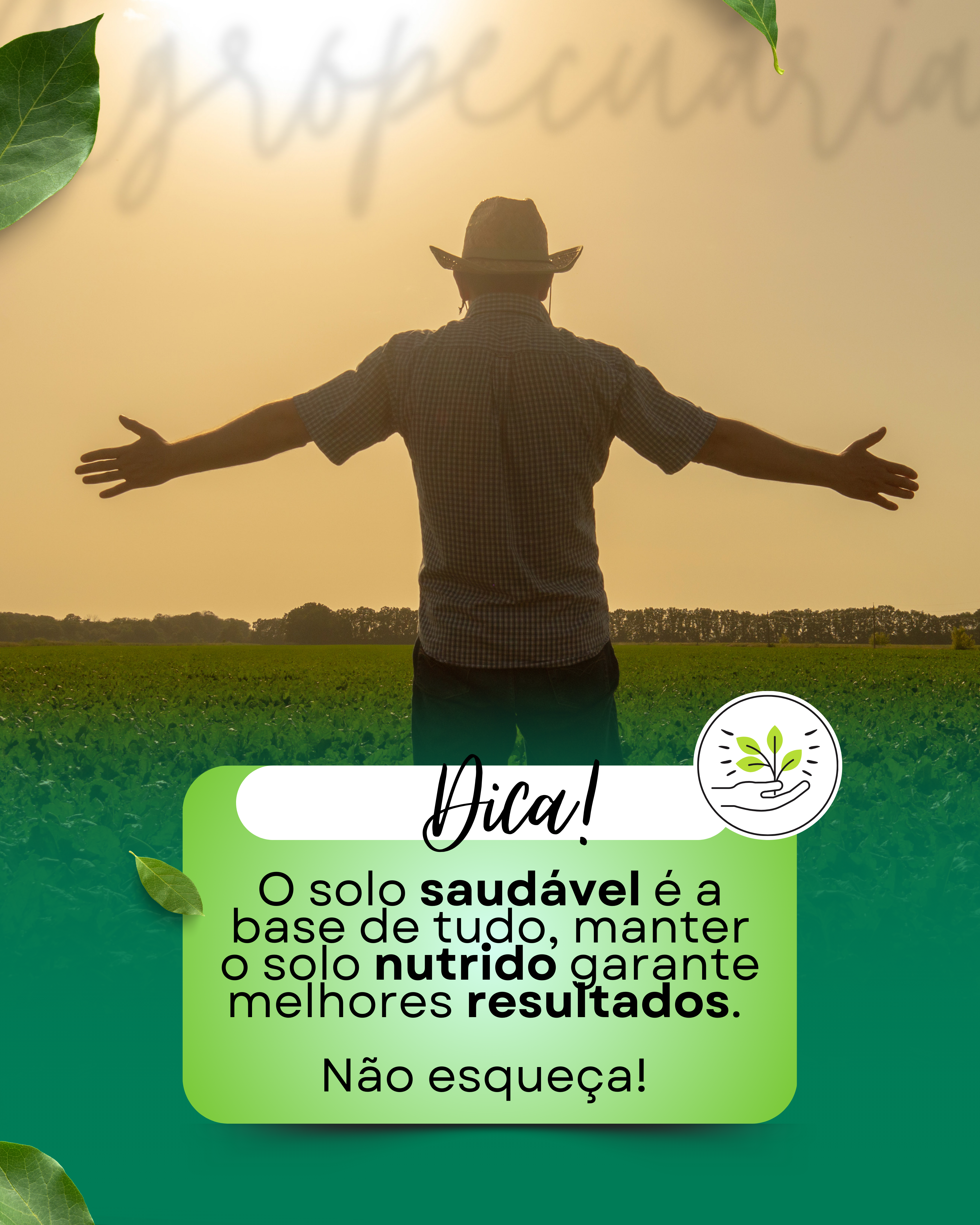 Cópia de Pack agropecuária (1)