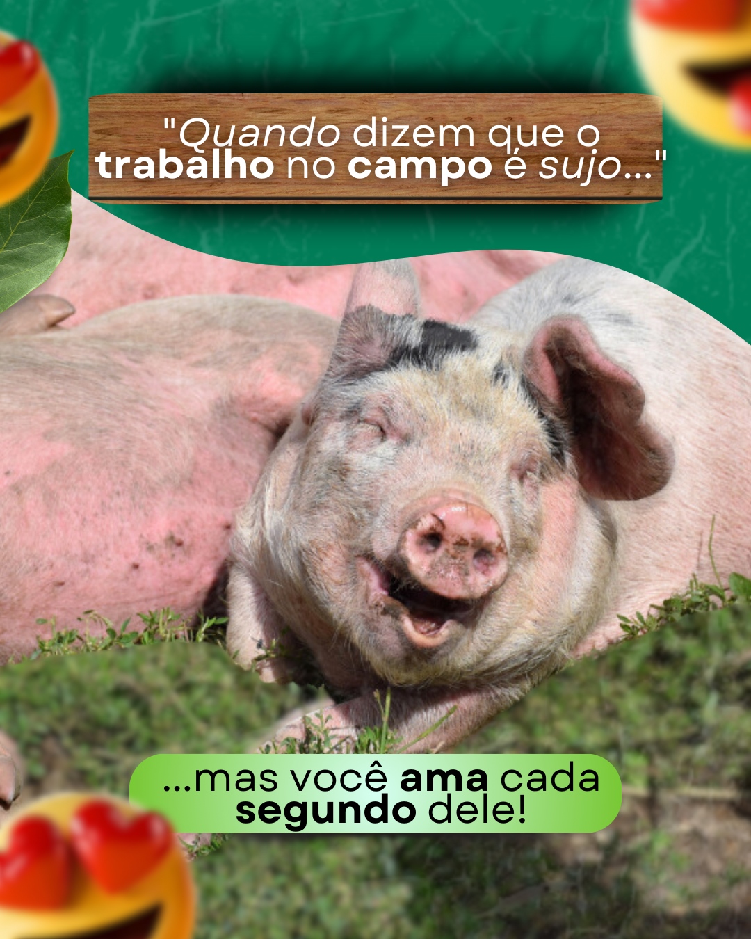 Cópia de Pack agropecuária (7)
