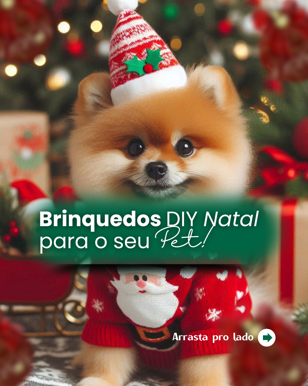 Pack pet Especial festas (1080 x 1350 px) (3)