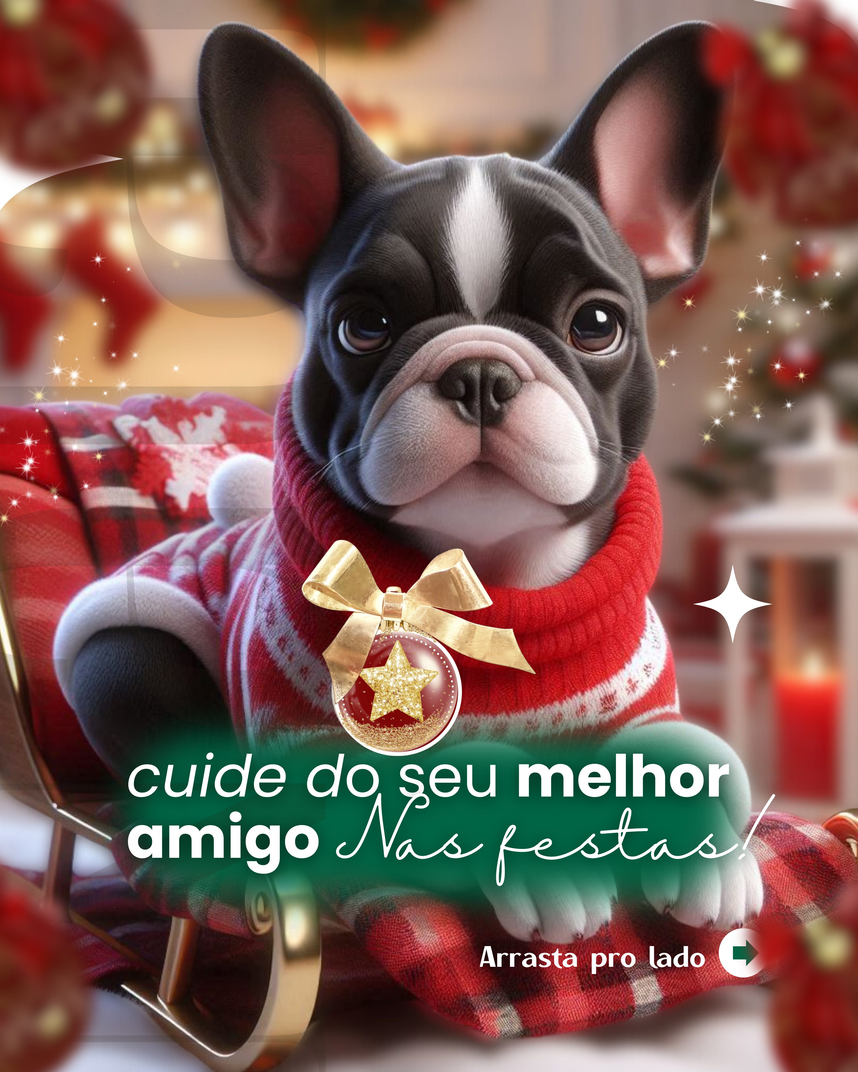 Pack pet Especial festas (1080 x 1350 px) (5)