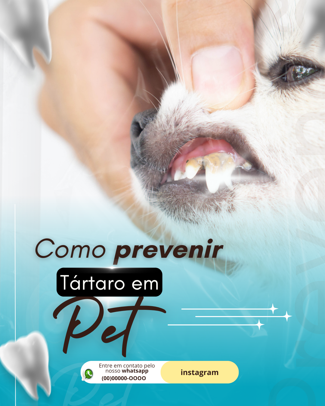 100 Modelos Pack para veterinários ORIGINAL (3)