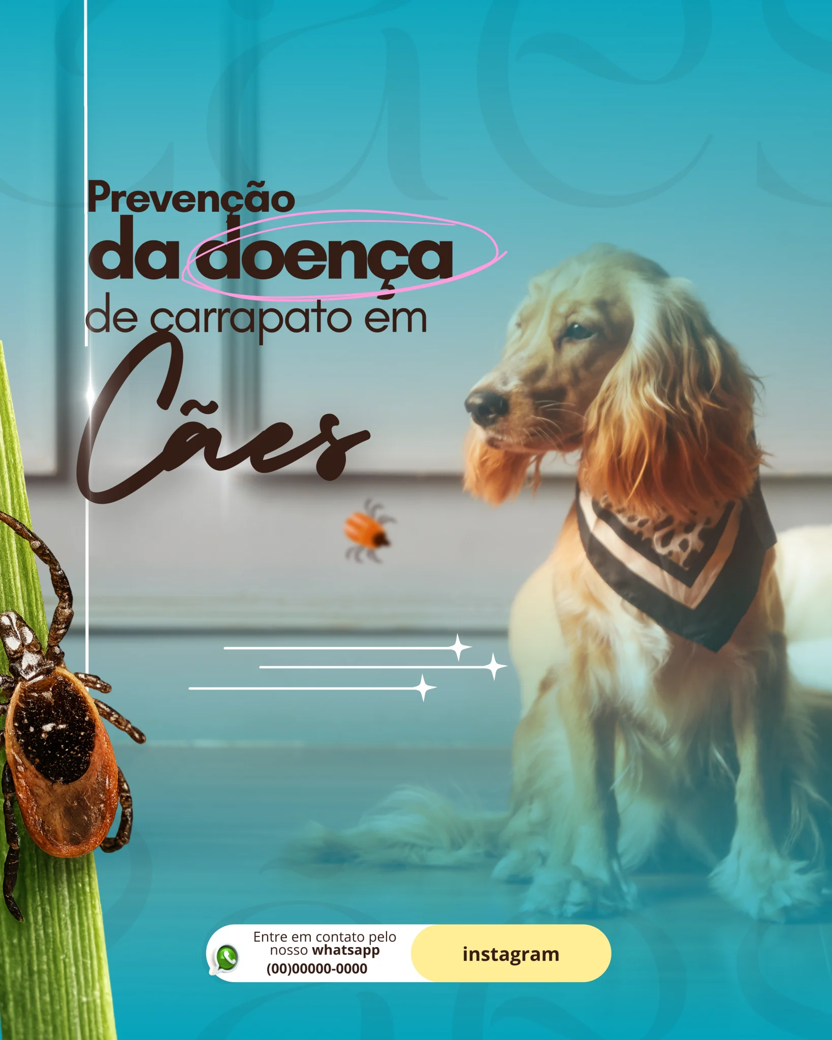 100-Modelos-Pack-para-veterinários-ORIGINAL-_5_