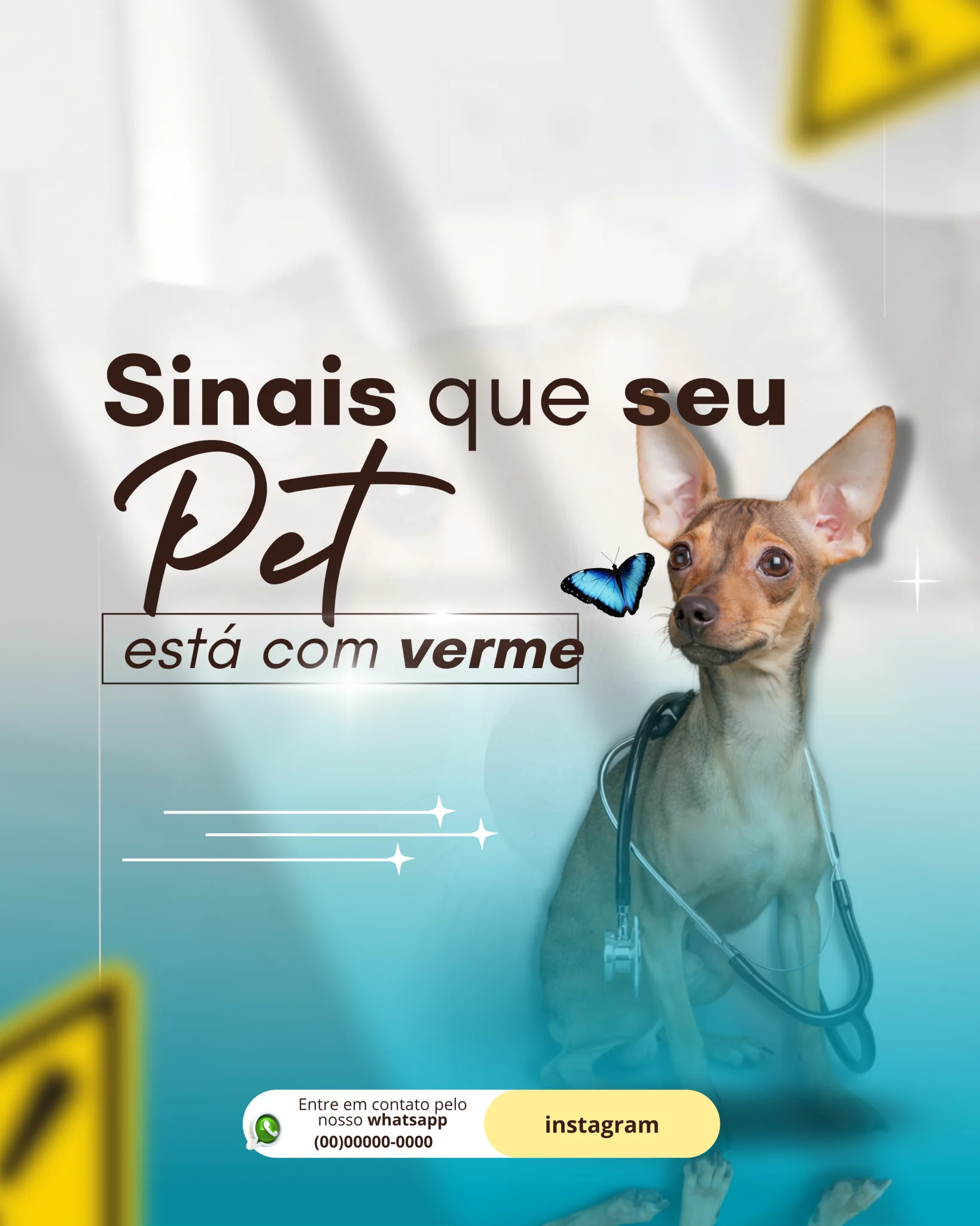 100-Modelos-Pack-para-veterinários-ORIGINAL-_6_