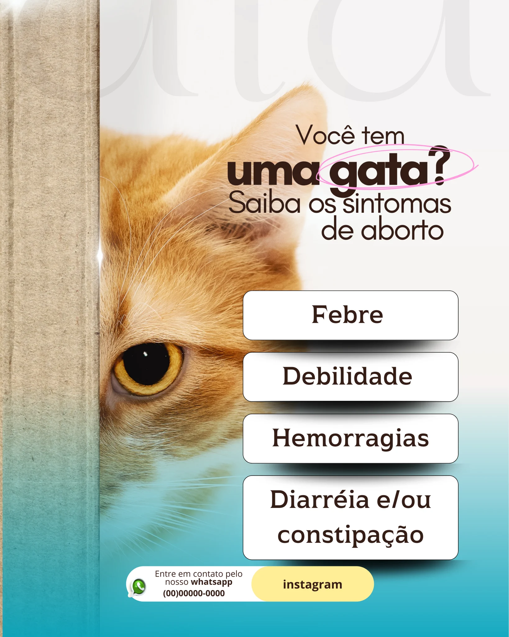 100-Modelos-Pack-para-veterinários-ORIGINAL-_7_
