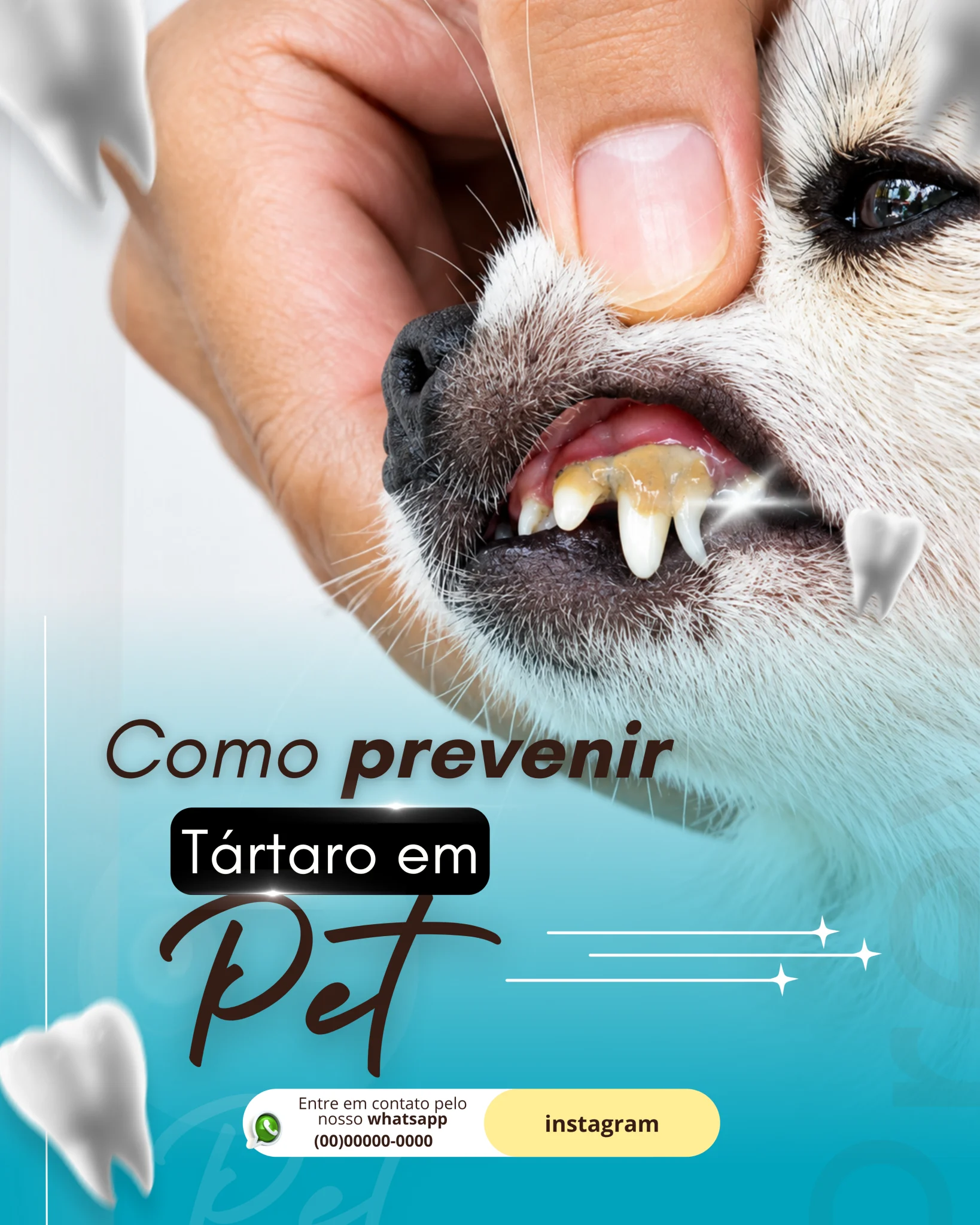 100-Modelos-Pack-para-veterinários-ORIGINAL-_8_